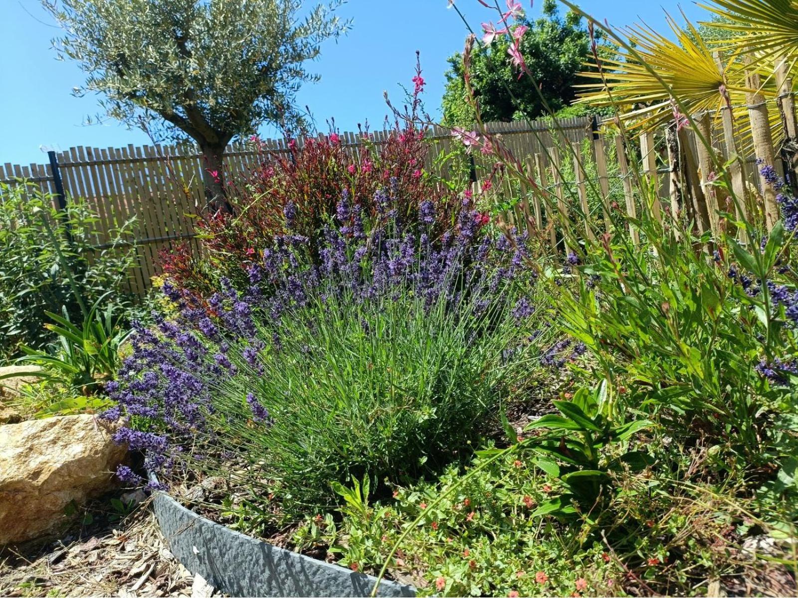 Apb Spa Locations Avec Jacuzzi Privatif Saint-Jean-de-Monts Exterior foto